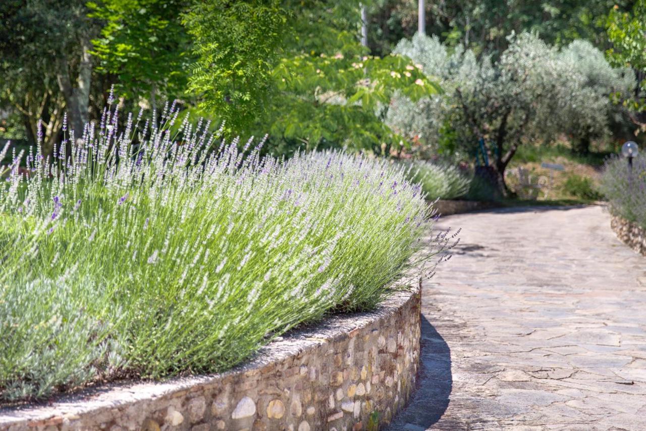 Agriturismo La Valle A Polvereto Tavarnelle Val di Pesa Luaran gambar