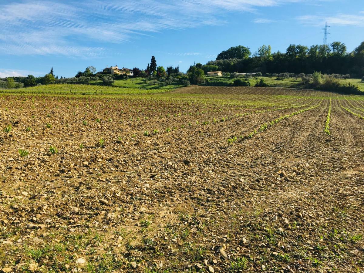 Agriturismo La Valle A Polvereto Tavarnelle Val di Pesa Luaran gambar