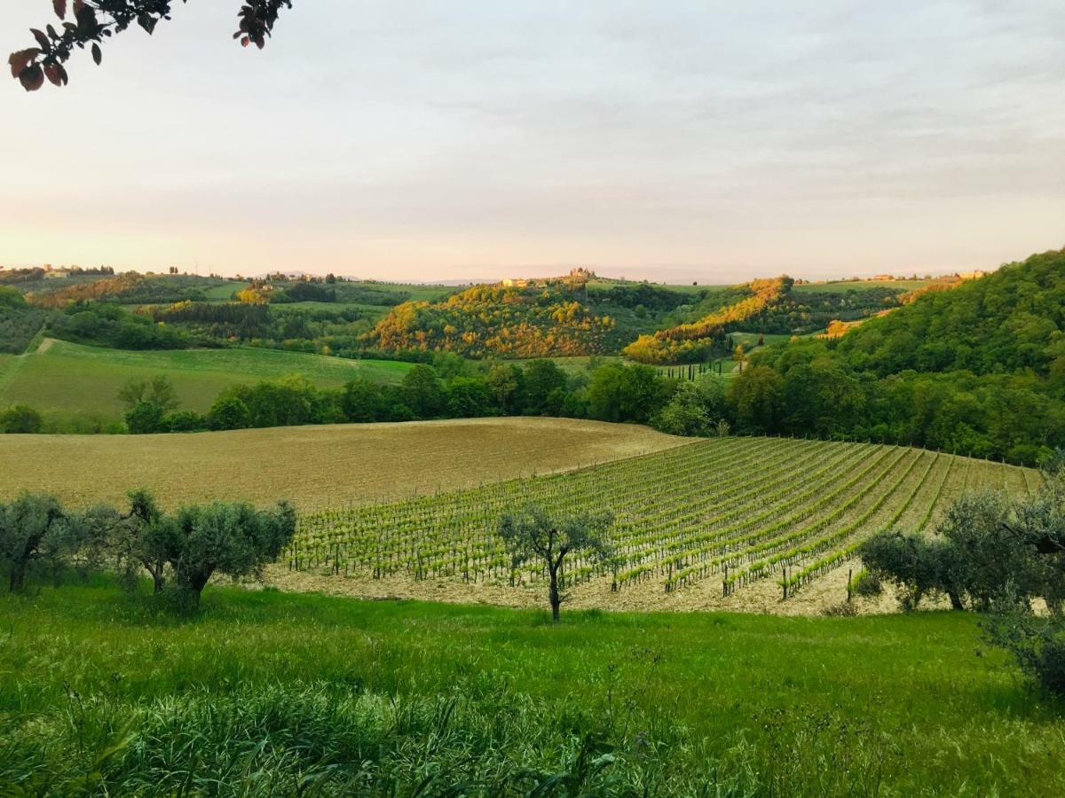 Agriturismo La Valle A Polvereto Tavarnelle Val di Pesa Luaran gambar